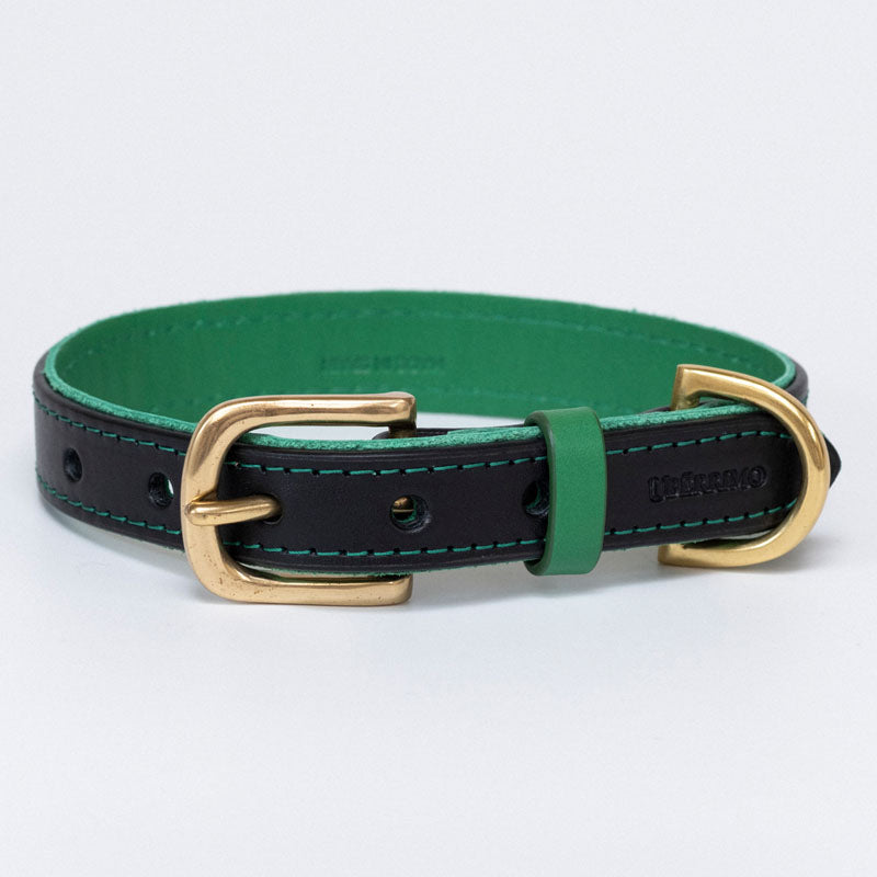 Collar Ascot Black - Green