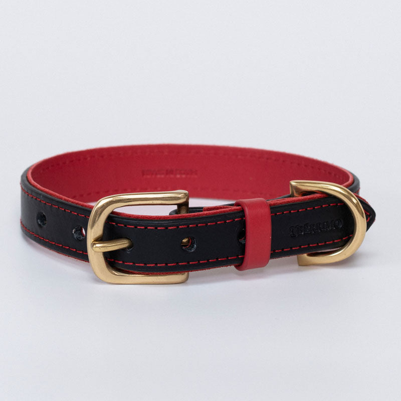Collar Ascot Black - Red